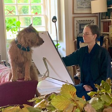 DOMENICA MORE GORDON Collection