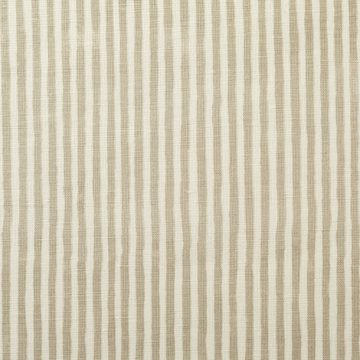 Tiny Stripe in Sand
