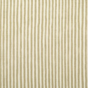 Tiny Stripe in Moss