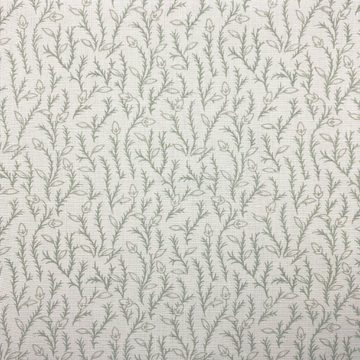 Fern vine in seamist