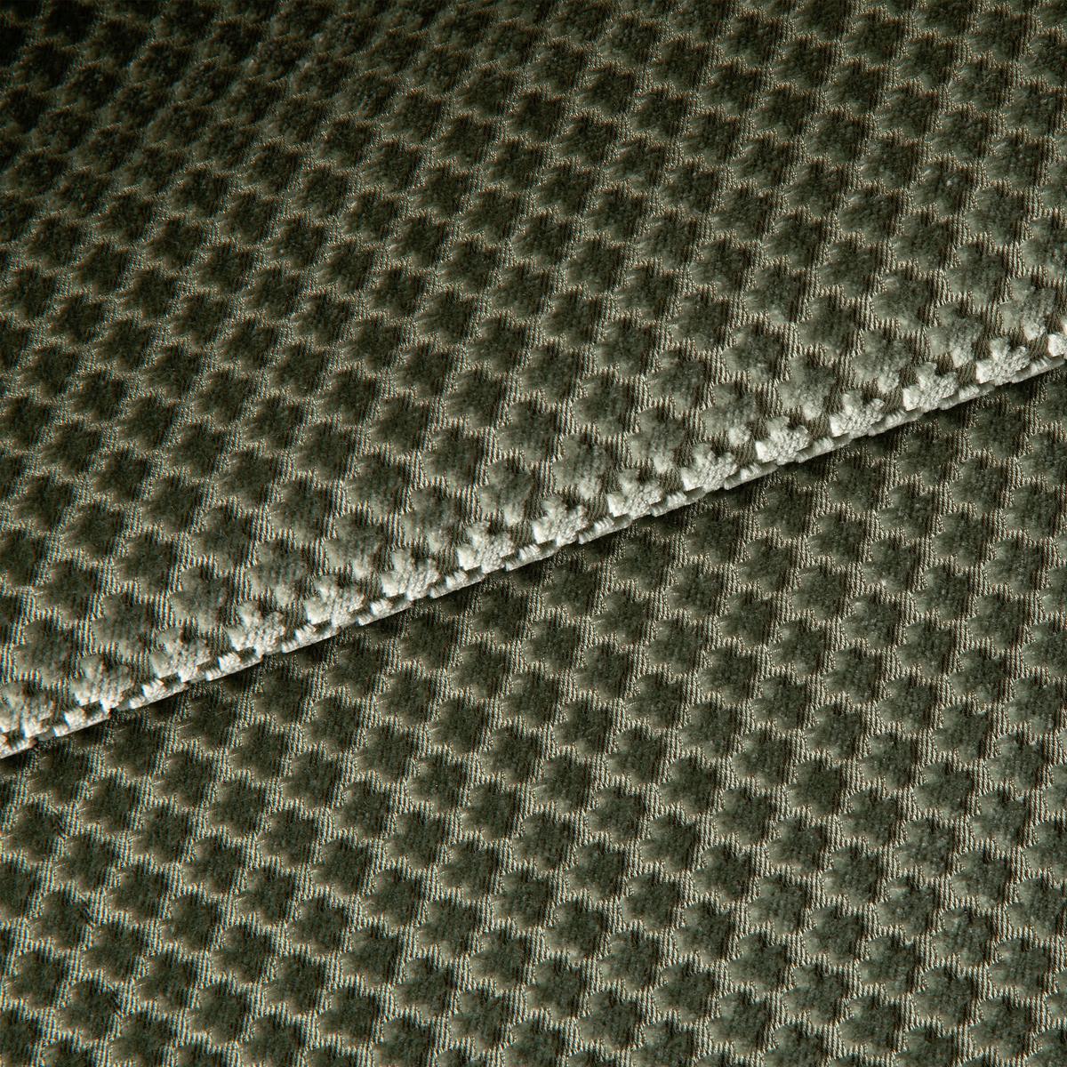 FVS101 01