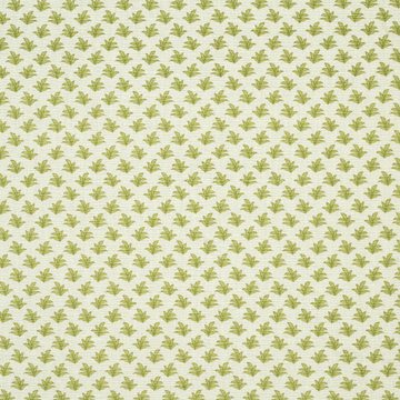 Fern in lime